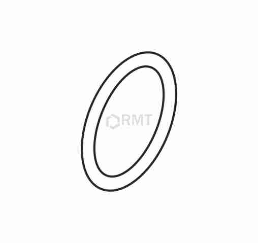 C079 489  (O-ring)